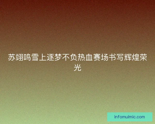 苏翊鸣雪上逐梦不负热血赛场书写辉煌荣光